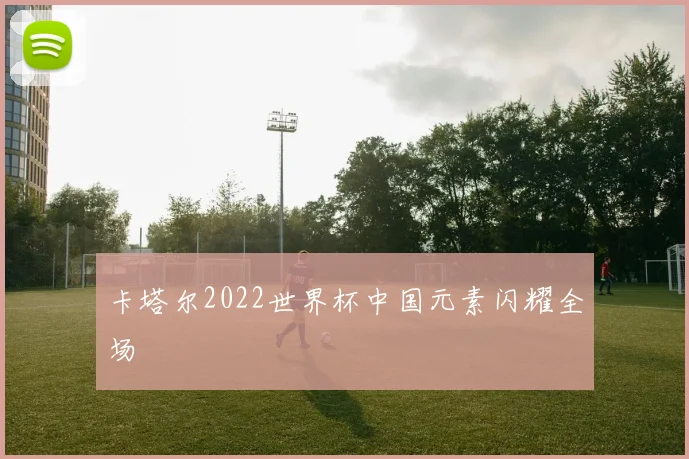 卡塔尔2022世界杯中国元素闪耀全场