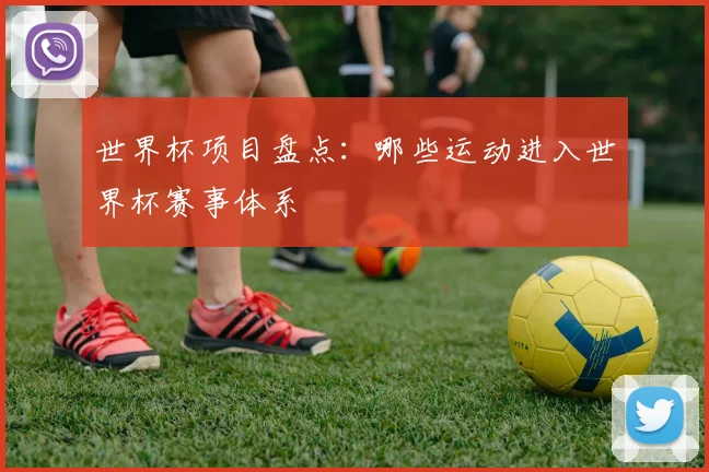 世界杯项目盘点:哪些运动进入世界杯赛事体系